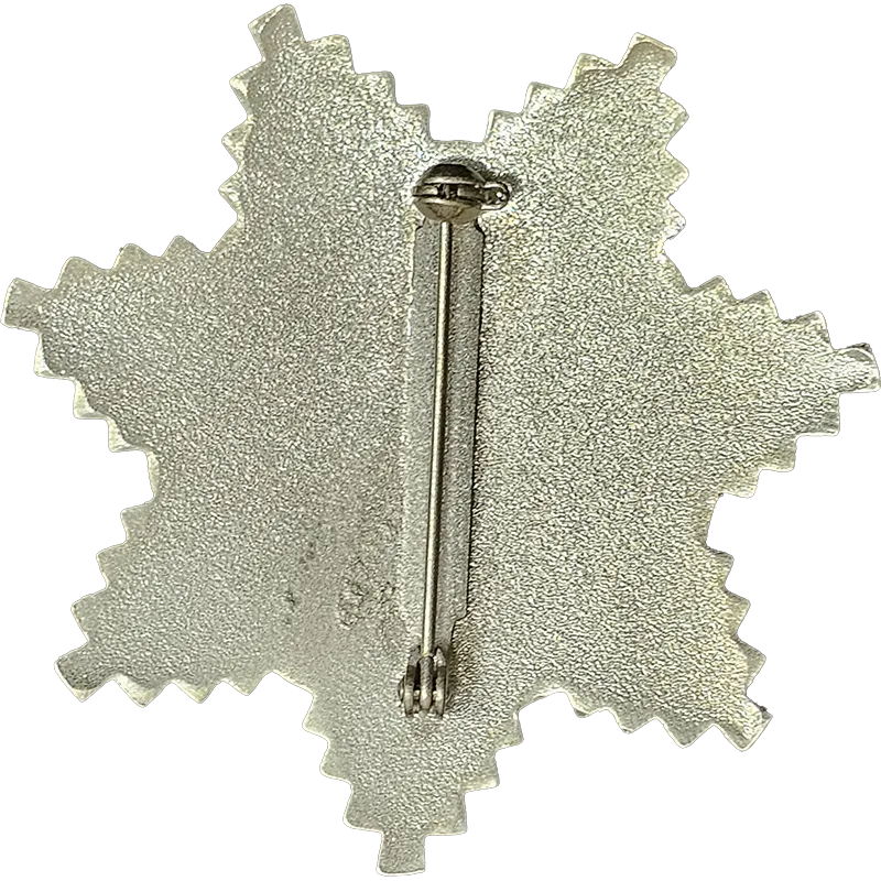 Knights Templar Breast Star for Preceptor - Rear